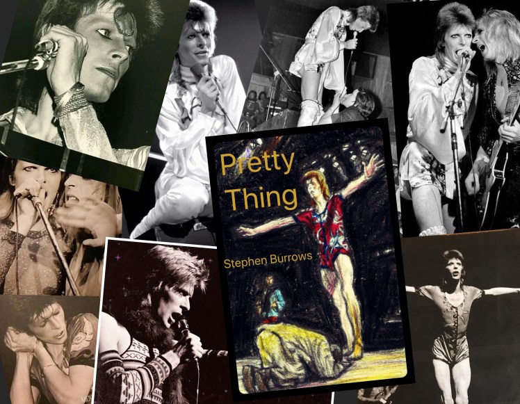 Ziggy collage 1